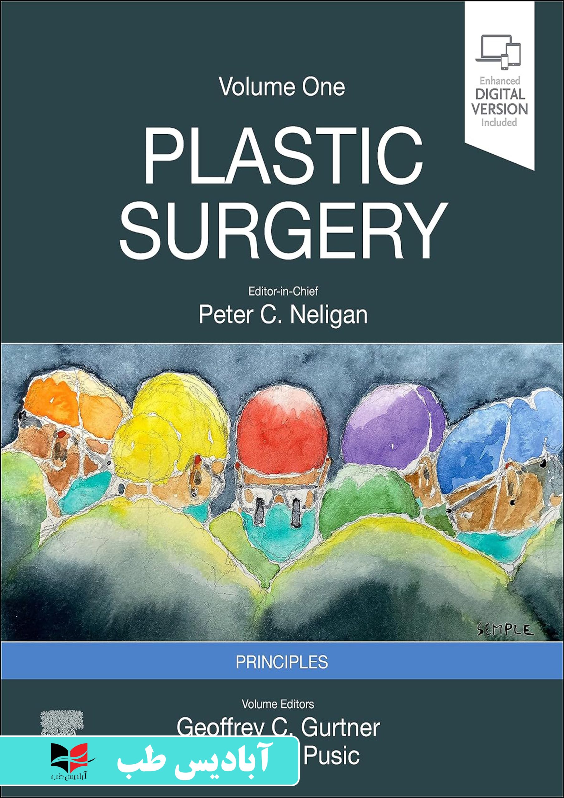 plastic surgery volume 1 principles 5th edition | جراحی پلاستیک
