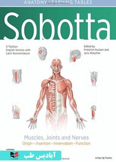 روی Sobotta Learning Tables of Muscles, Joints and Nerves